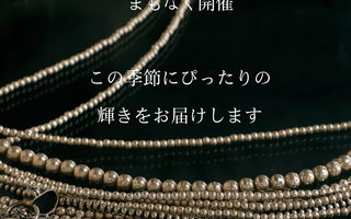 Holiday Gift Shop 12/12~12/14